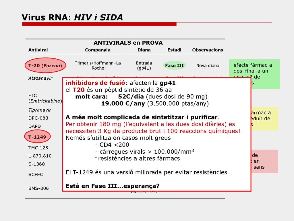 Virus RNA: HIV i SIDA inhibidors de fusió: afecten la gp41
