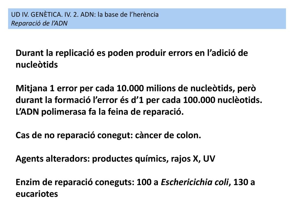 Durant la replicació es poden produir errors en l’adició de nucleòtids