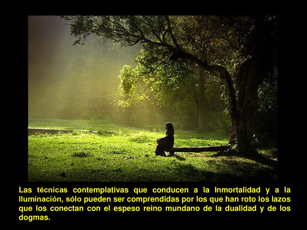 Las técnicas contemplativas que conducen a la Inmortalidad y a la Iluminación, sólo pueden ser comprendidas por los que han roto los lazos que los conectan con el espeso reino mundano de la dualidad y de los dogmas.