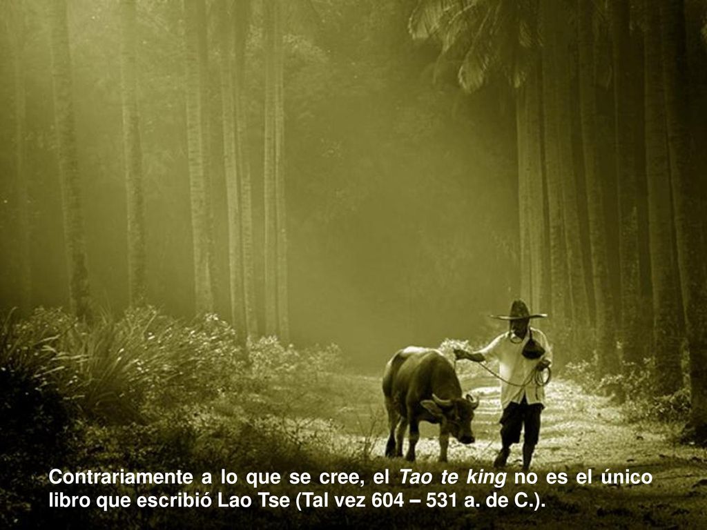Contrariamente a lo que se cree, el Tao te king no es el único libro que escribió Lao Tse (Tal vez 604 – 531 a.