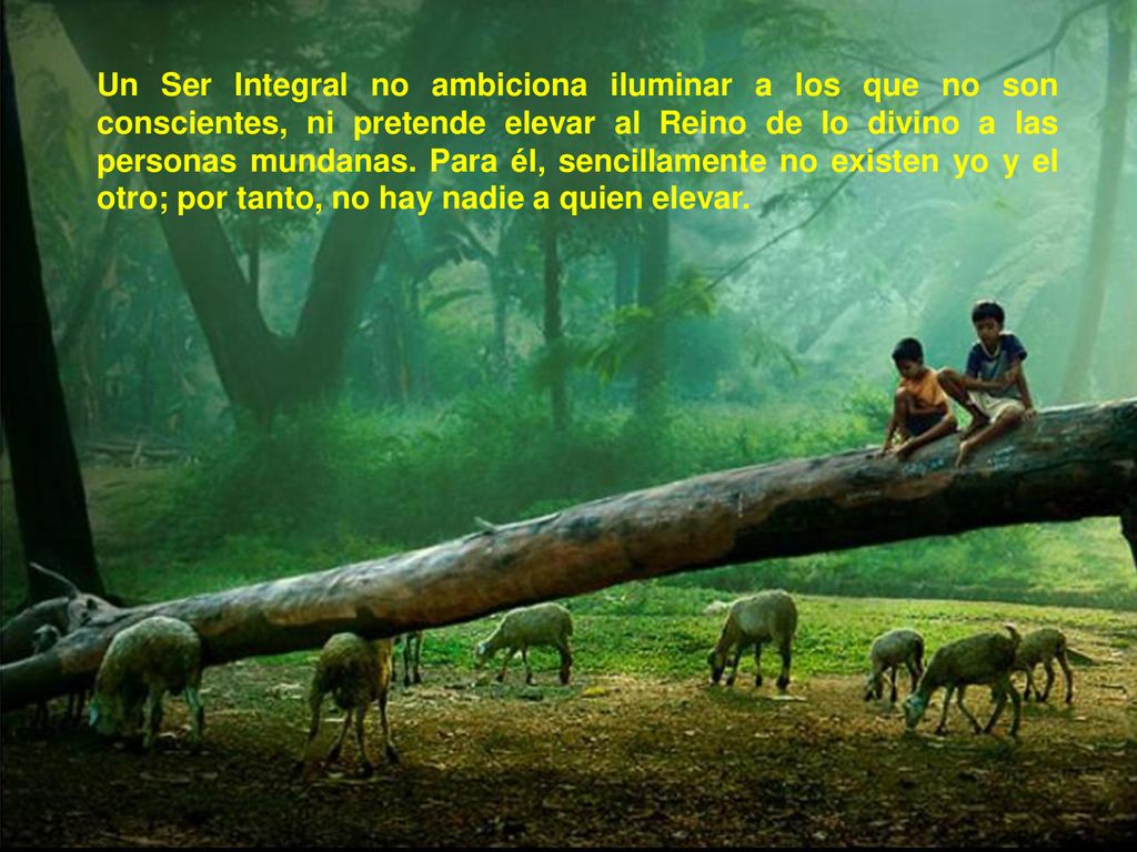 Un Ser Integral no ambiciona iluminar a los que no son conscientes, ni pretende elevar al Reino de lo divino a las personas mundanas.