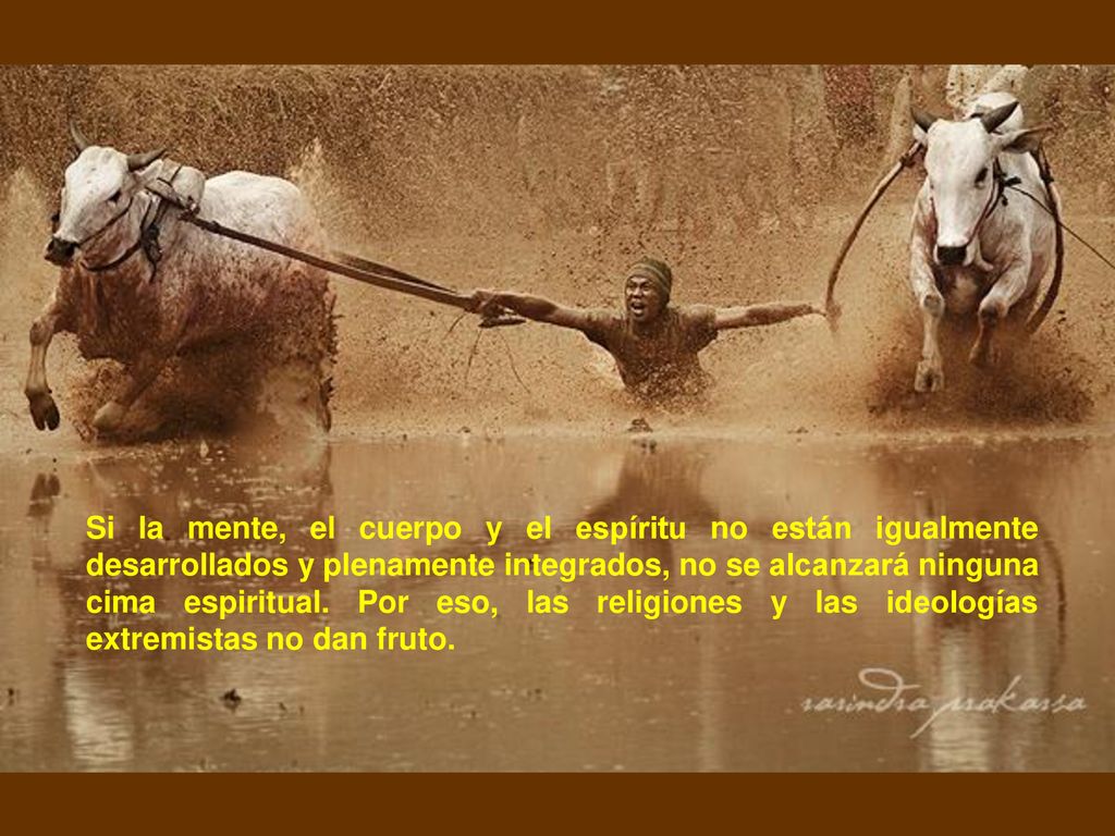 Si la mente, el cuerpo y el espíritu no están igualmente desarrollados y plenamente integrados, no se alcanzará ninguna cima espiritual.
