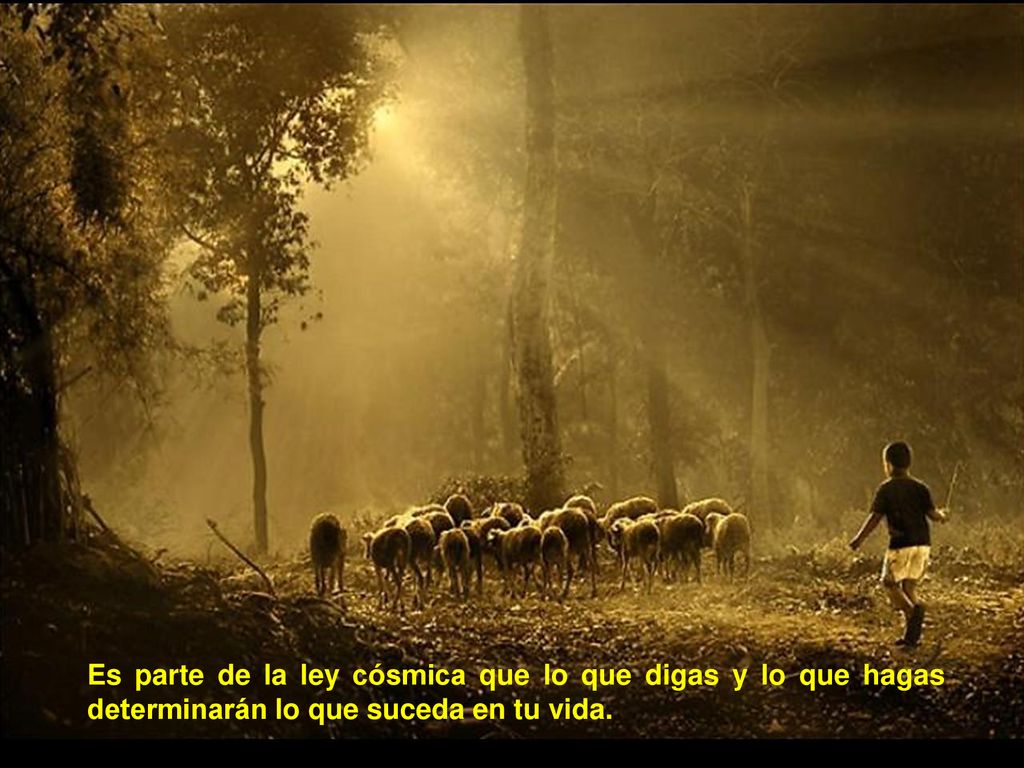 Es parte de la ley cósmica que lo que digas y lo que hagas determinarán lo que suceda en tu vida.