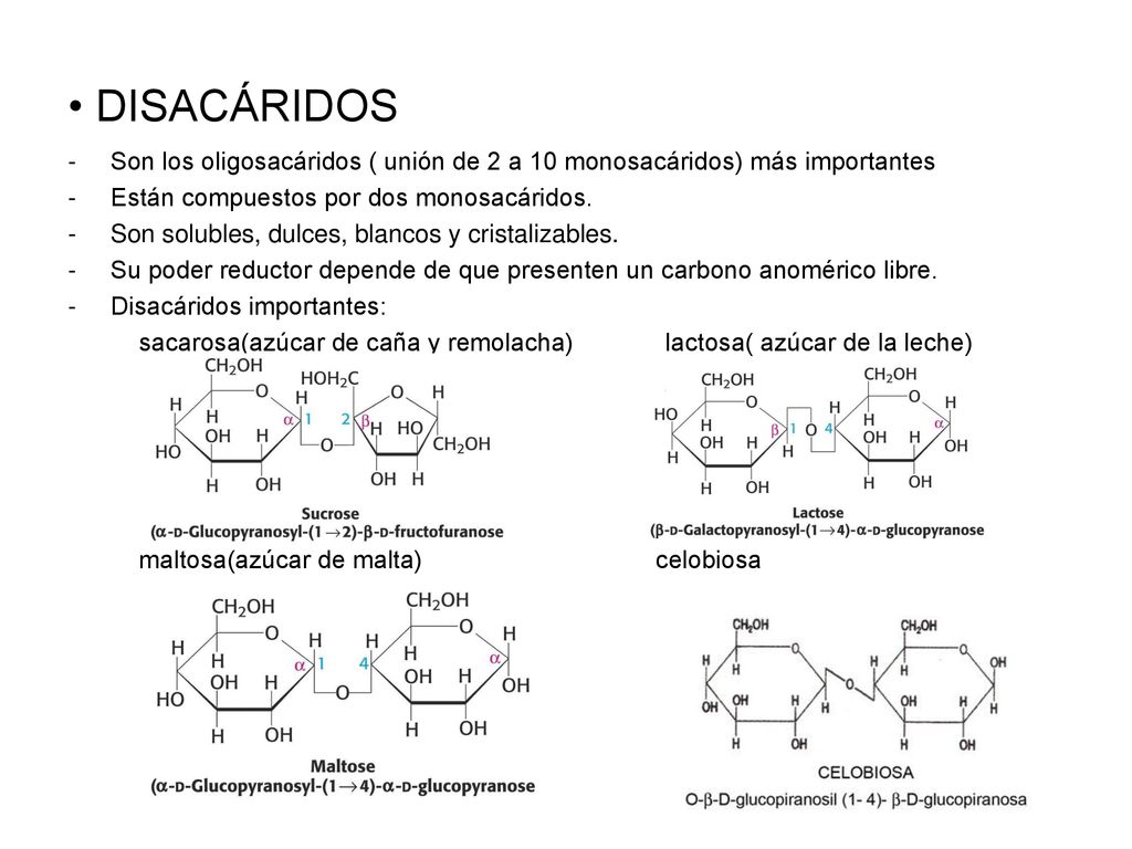 DISACÁRIDOS Son los oligosacáridos ( unión de 2 a 10 monosacáridos) más importantes. Están compuestos por dos monosacáridos.