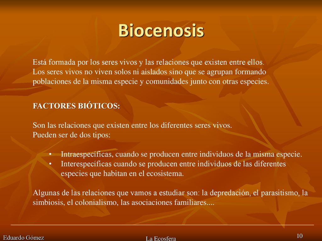 Biocenosis Está formada por los seres vivos y las relaciones que existen entre ellos.