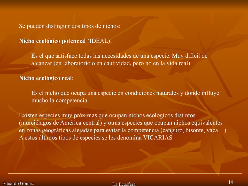 Se pueden distinguir dos tipos de nichos: