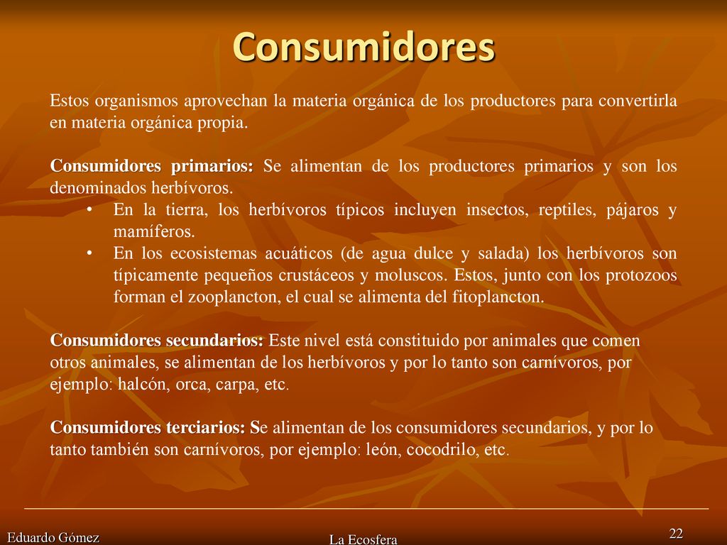 Consumidores Estos organismos aprovechan la materia orgánica de los productores para convertirla en materia orgánica propia.