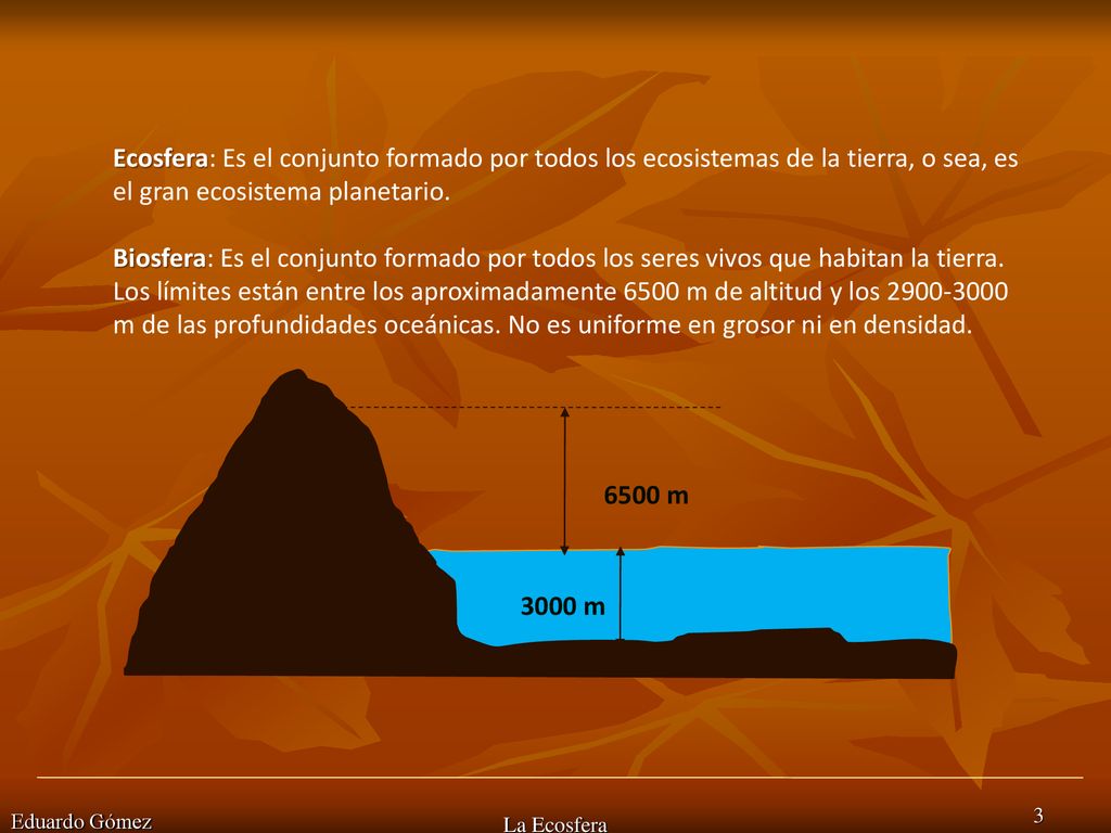 Ecosfera: Es el conjunto formado por todos los ecosistemas de la tierra, o sea, es el gran ecosistema planetario.