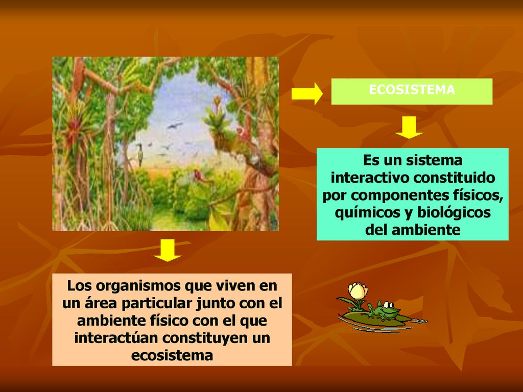 ECOSISTEMA Es un sistema interactivo constituido por componentes físicos, químicos y biológicos del ambiente.