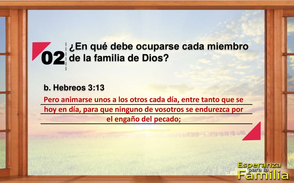 02 ¿En qué debe ocuparse cada miembro de la familia de Dios