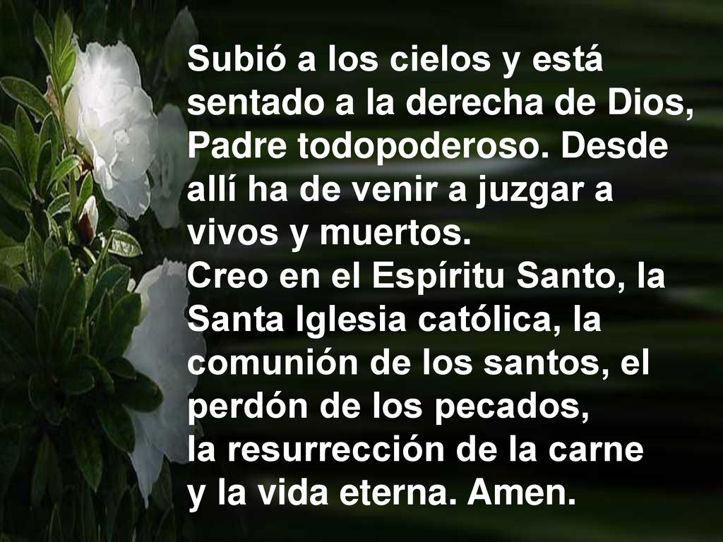 Subió a los cielos y está sentado a la derecha de Dios, Padre todopoderoso. Desde allí ha de venir a juzgar a vivos y muertos. Creo en el Espíritu Santo, la Santa Iglesia católica, la comunión de los santos, el perdón de los pecados, la resurrección de la carne