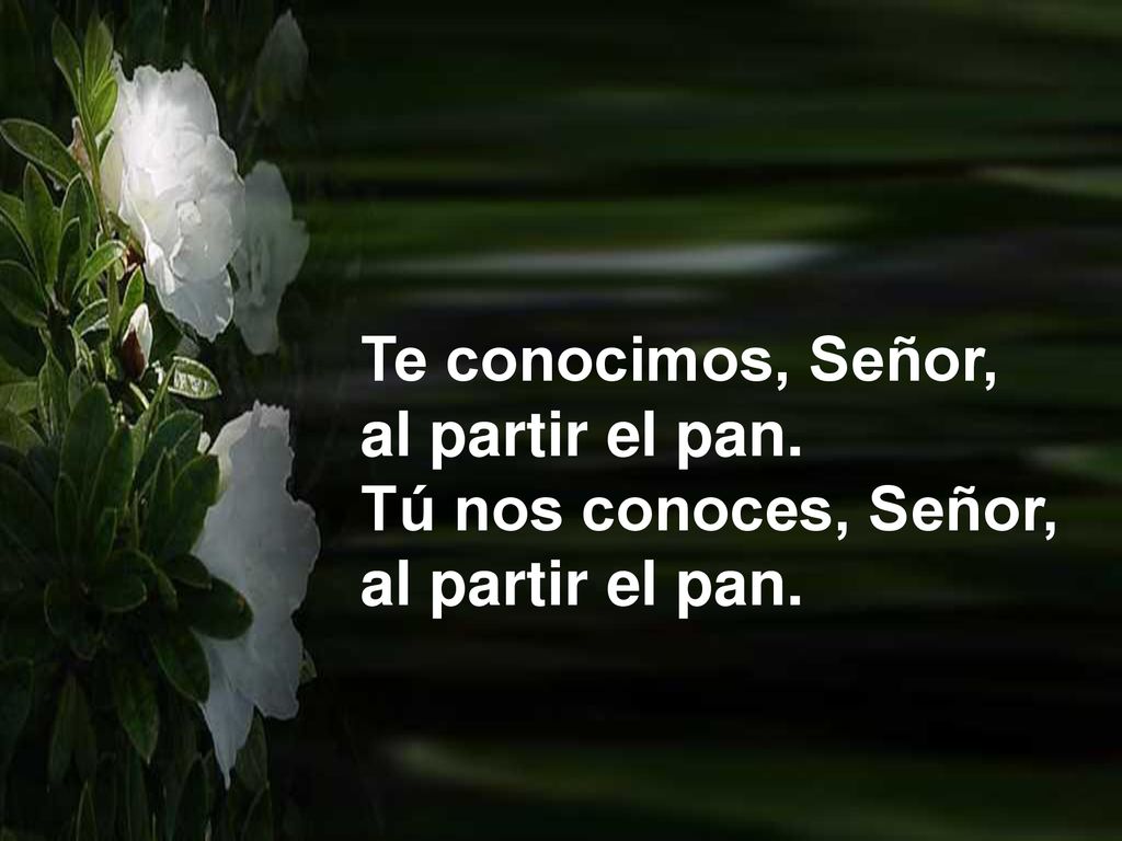 Te conocimos, Señor, al partir el pan. Tú nos conoces, Señor,