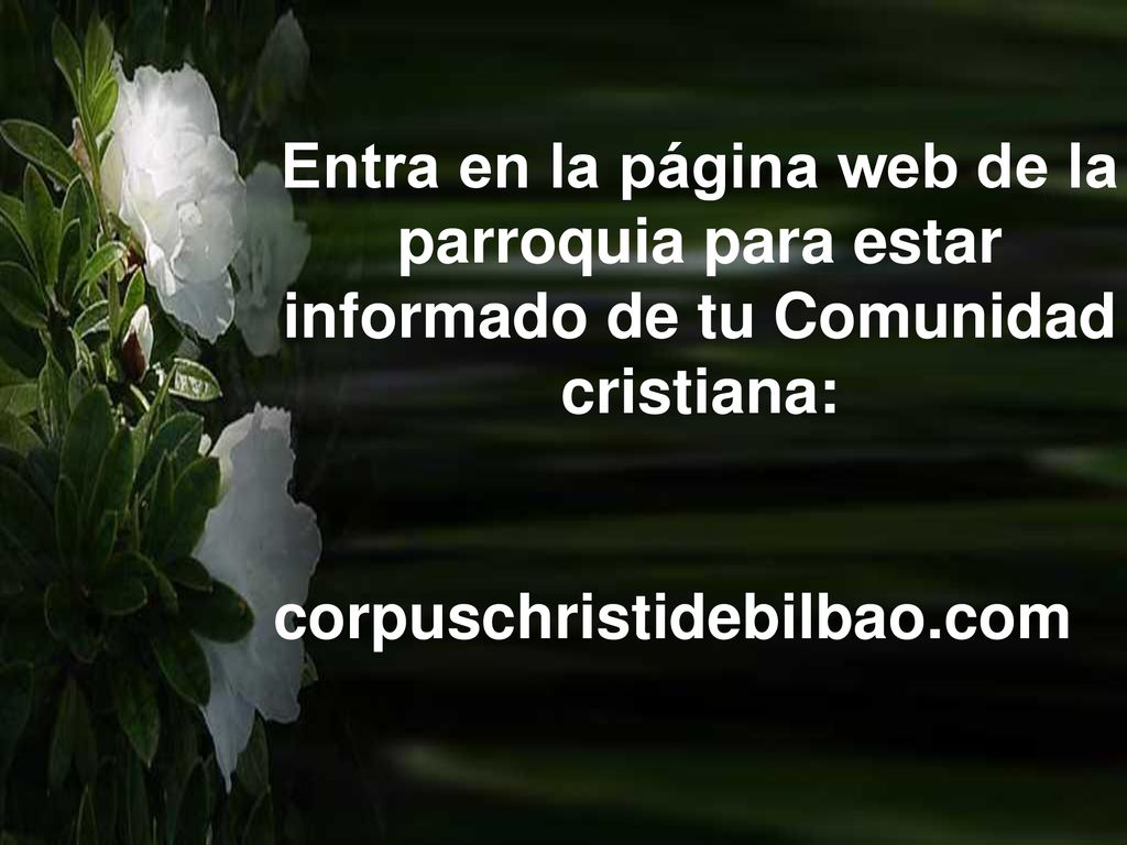 Entra en la página web de la parroquia para estar informado de tu Comunidad cristiana: