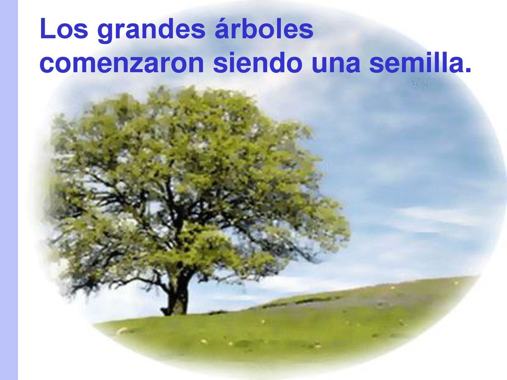 No estás solo. Me tienes a mí. (Dios) Los grandes árboles