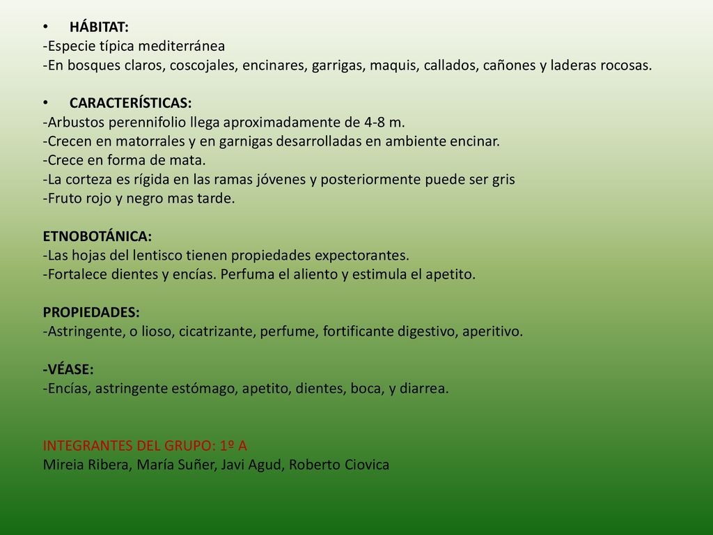 HÁBITAT: -Especie típica mediterránea. -En bosques claros, coscojales, encinares, garrigas, maquis, callados, cañones y laderas rocosas.