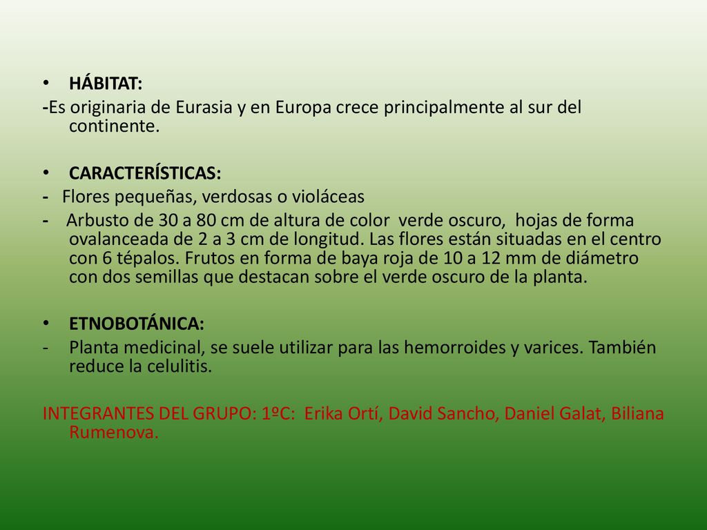 HÁBITAT: -Es originaria de Eurasia y en Europa crece principalmente al sur del continente. CARACTERÍSTICAS: