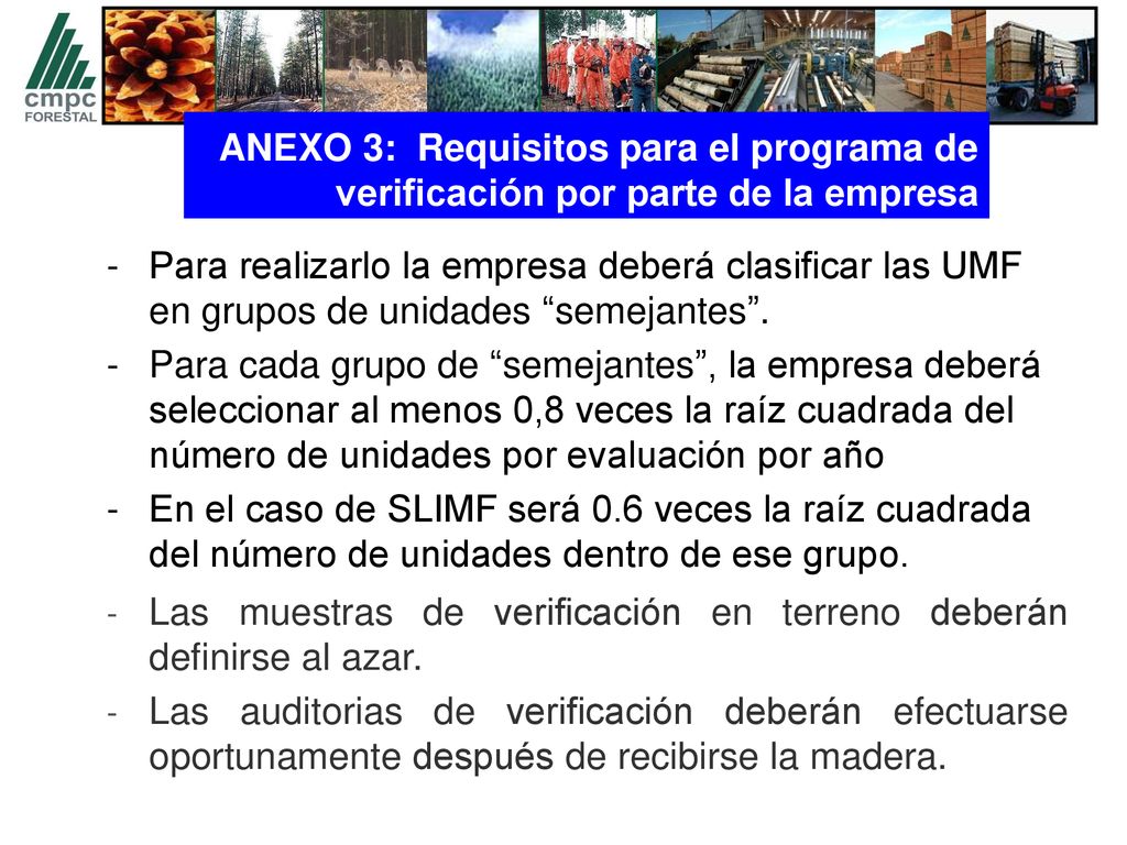 ANEXO 3: Requisitos para el programa de verificación por parte de la empresa