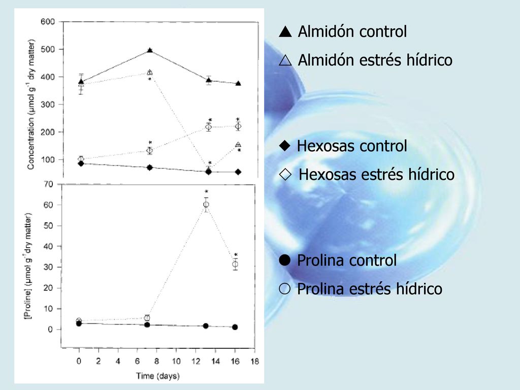  Almidón control  Almidón estrés hídrico.  Hexosas control.  Hexosas estrés hídrico.  Prolina control.