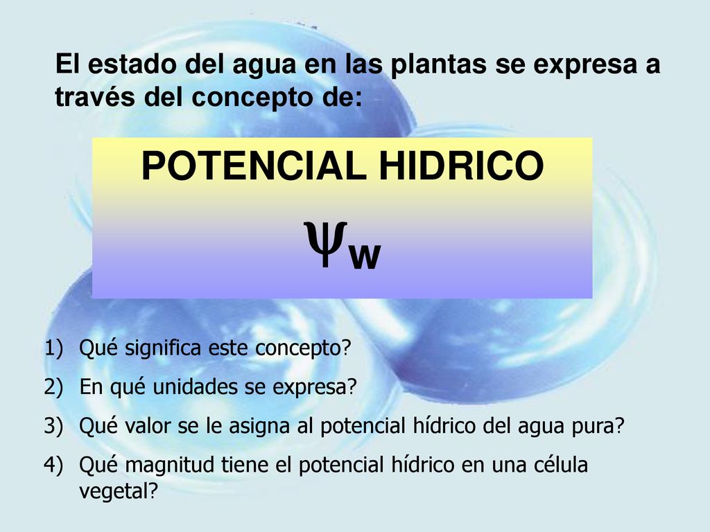 w POTENCIAL HIDRICO El estado del agua en las plantas se expresa a