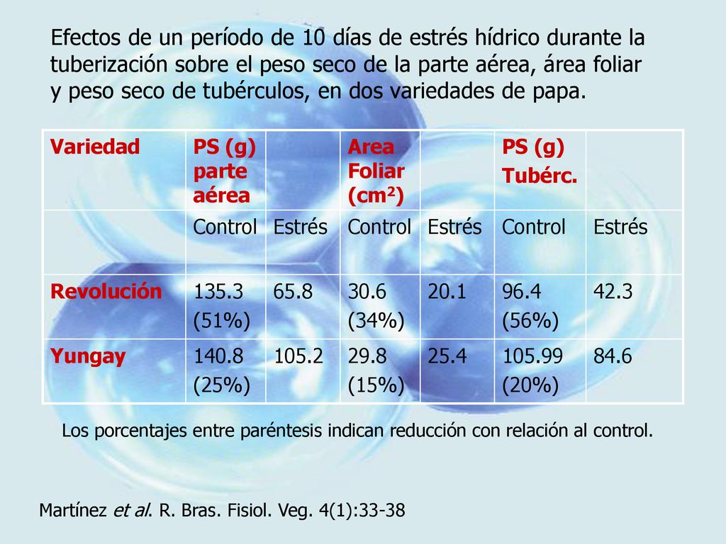 Efectos de un período de 10 días de estrés hídrico durante la tuberización sobre el peso seco de la parte aérea, área foliar y peso seco de tubérculos, en dos variedades de papa.