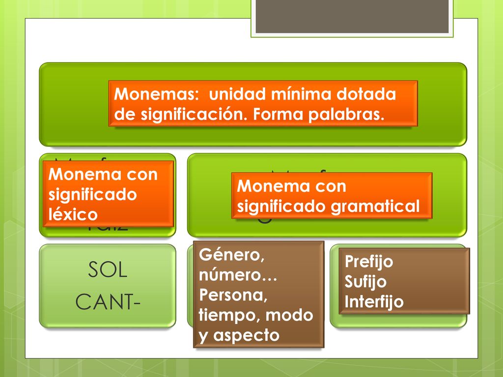 Monemas Morfema gramatical Morfema léxico o raíz SOL CANT- Flexivo