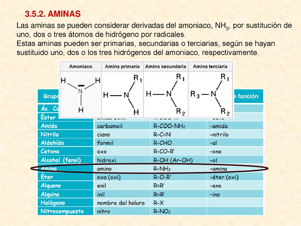 AMINAS Las aminas se pueden considerar derivadas del amoniaco, NH3, por sustitución de uno, dos o tres átomos de hidrógeno por radicales.
