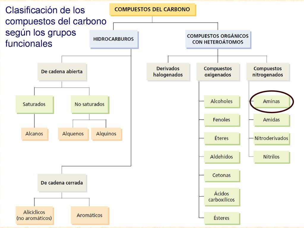 Clasificación de los compuestos del carbono según los grupos funcionales