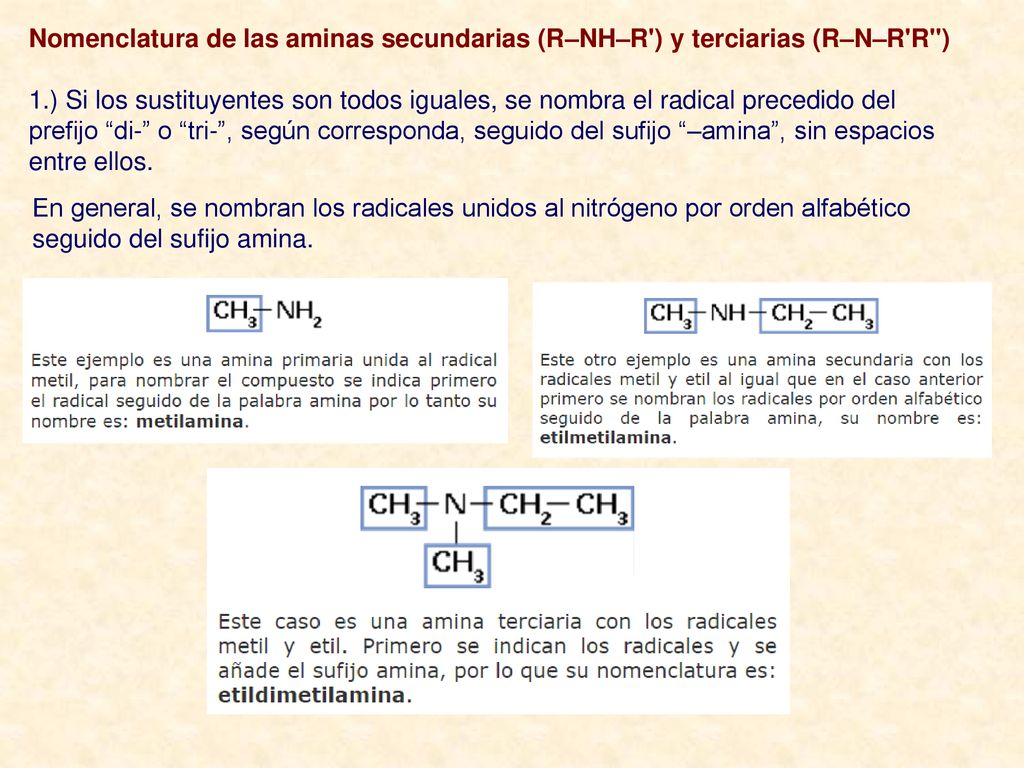 Nomenclatura de las aminas secundarias (R–NH–R ) y terciarias (R–N–R R )