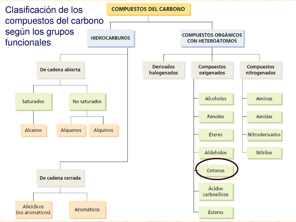 Clasificación de los compuestos del carbono según los grupos funcionales