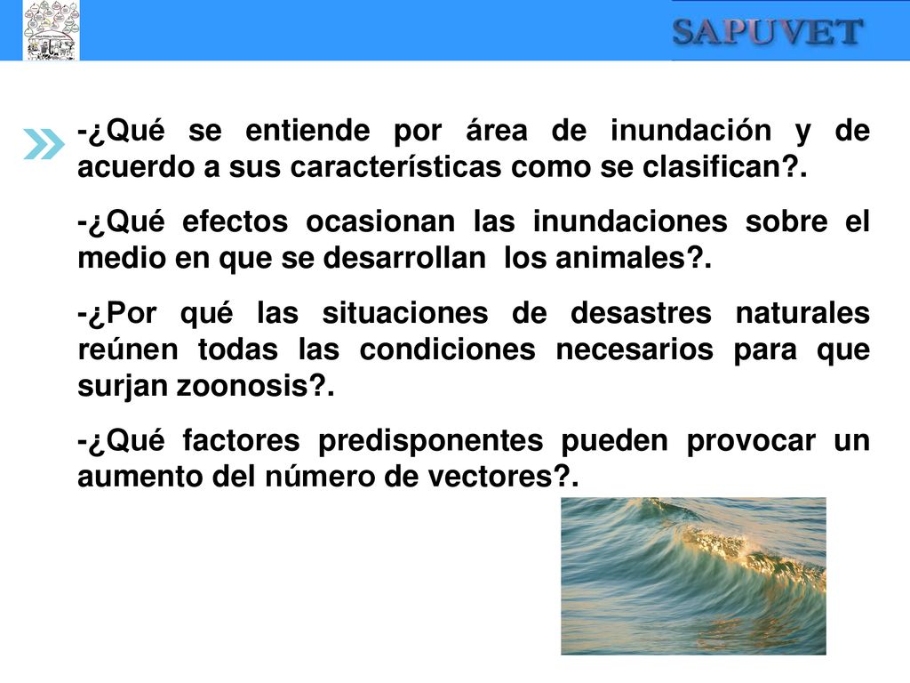 -¿Qué se entiende por área de inundación y de acuerdo a sus características como se clasifican .