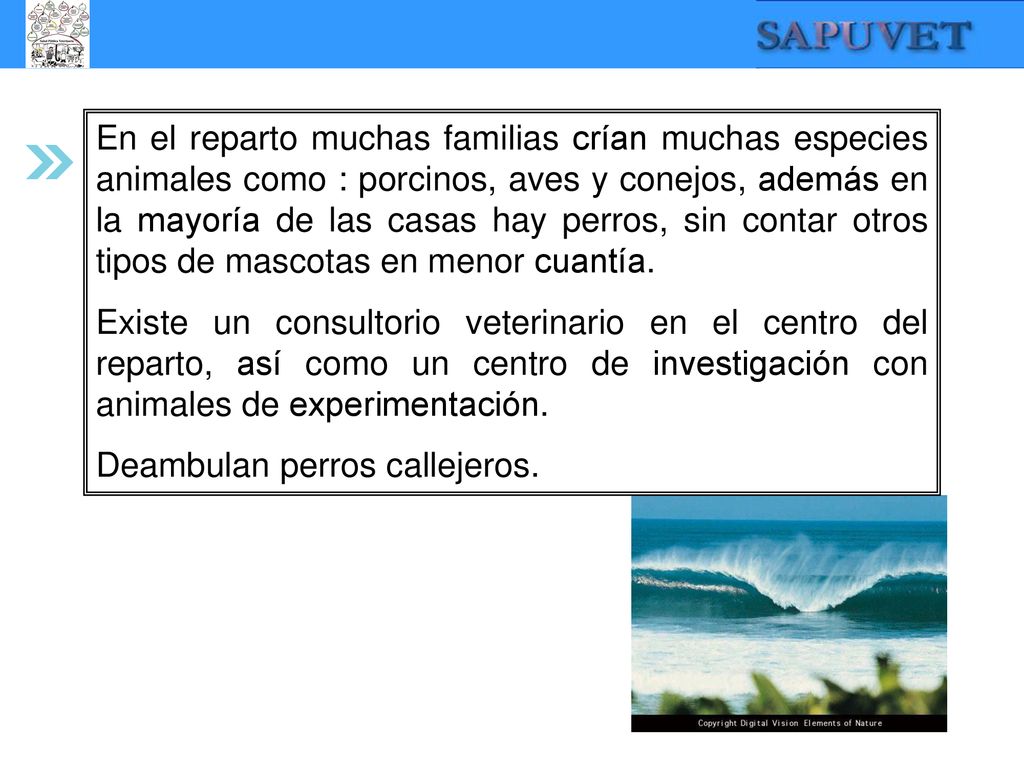 En el reparto muchas familias crían muchas especies animales como : porcinos, aves y conejos, además en la mayoría de las casas hay perros, sin contar otros tipos de mascotas en menor cuantía.