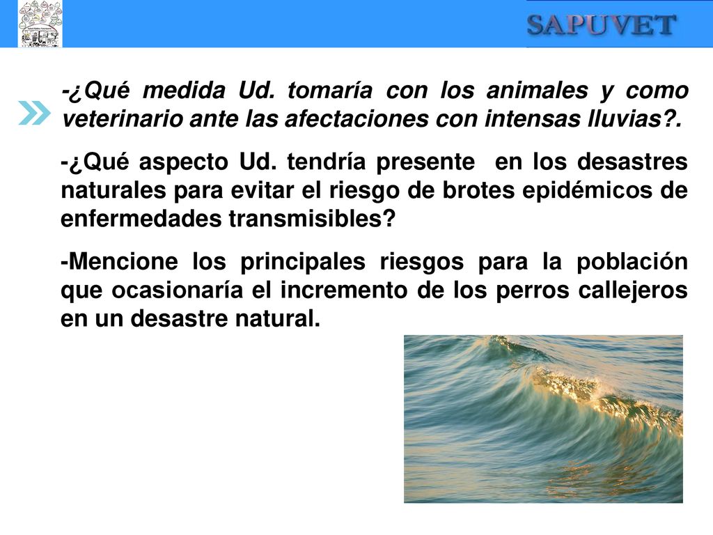 -¿Qué medida Ud. tomaría con los animales y como veterinario ante las afectaciones con intensas lluvias .