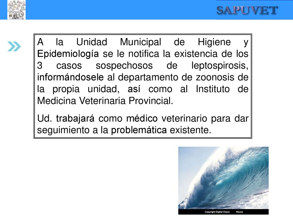 A la Unidad Municipal de Higiene y Epidemiología se le notifica la existencia de los 3 casos sospechosos de leptospirosis, informándosele al departamento de zoonosis de la propia unidad, así como al Instituto de Medicina Veterinaria Provincial.