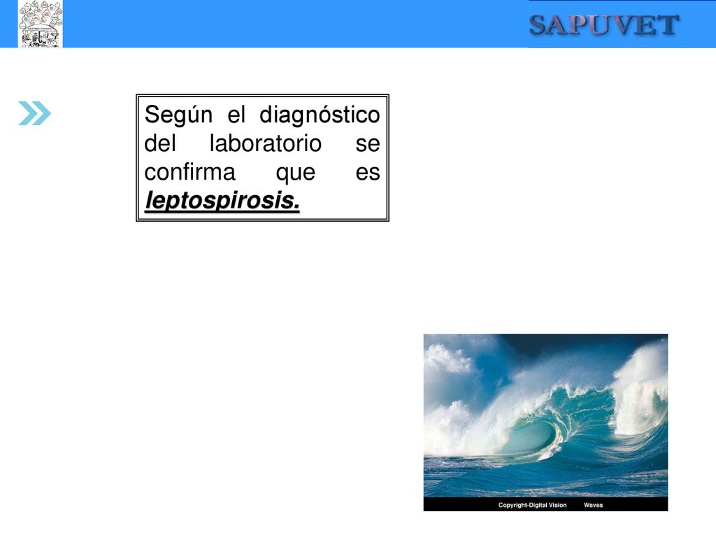 Según el diagnóstico del laboratorio se confirma que es leptospirosis.