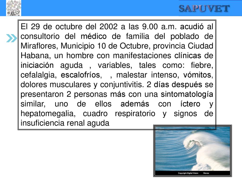 El 29 de octubre del 2002 a las a. m
