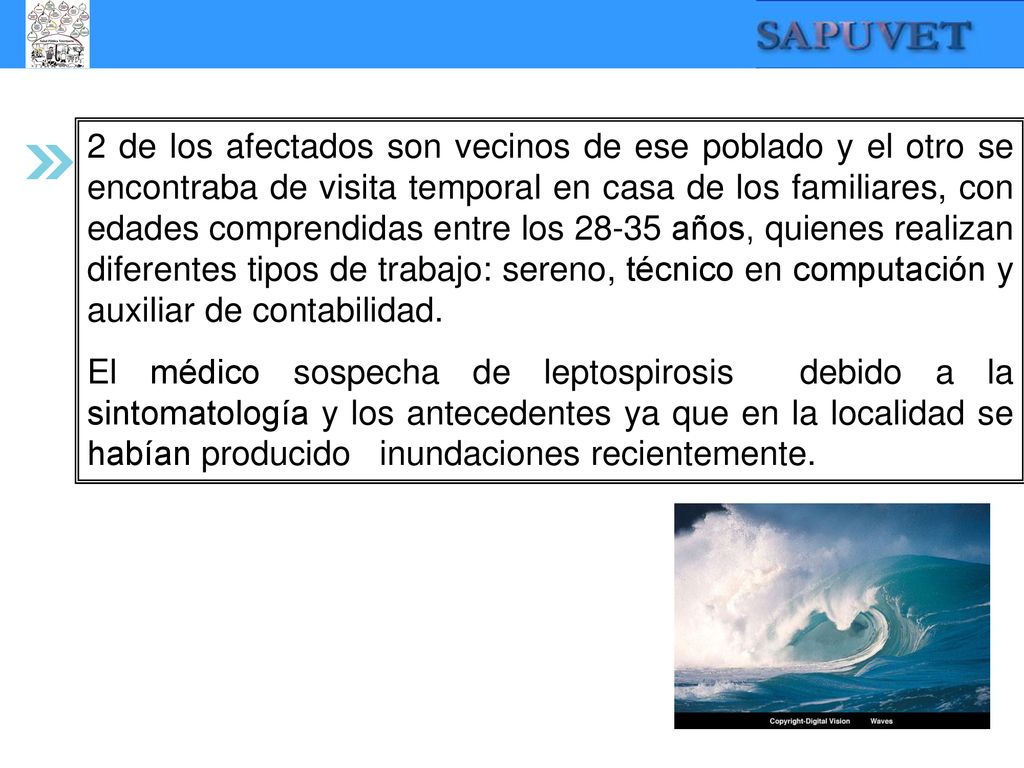2 de los afectados son vecinos de ese poblado y el otro se encontraba de visita temporal en casa de los familiares, con edades comprendidas entre los años, quienes realizan diferentes tipos de trabajo: sereno, técnico en computación y auxiliar de contabilidad.