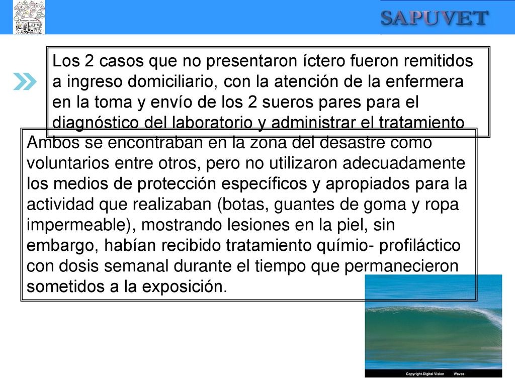 Los 2 casos que no presentaron íctero fueron remitidos a ingreso domiciliario, con la atención de la enfermera en la toma y envío de los 2 sueros pares para el diagnóstico del laboratorio y administrar el tratamiento
