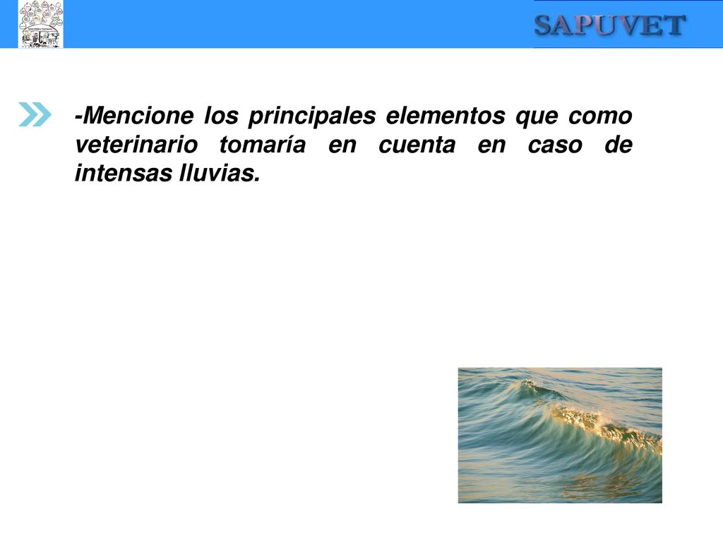 -Mencione los principales elementos que como veterinario tomaría en cuenta en caso de intensas lluvias.