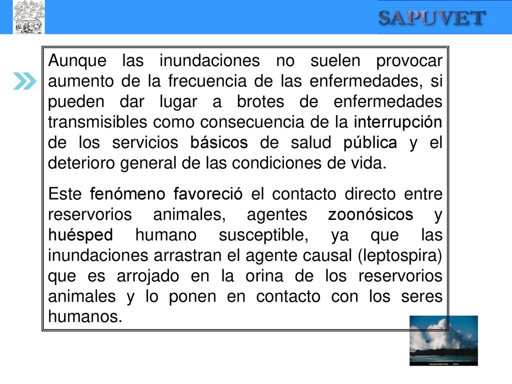 Aunque las inundaciones no suelen provocar aumento de la frecuencia de las enfermedades, si pueden dar lugar a brotes de enfermedades transmisibles como consecuencia de la interrupción de los servicios básicos de salud pública y el deterioro general de las condiciones de vida.