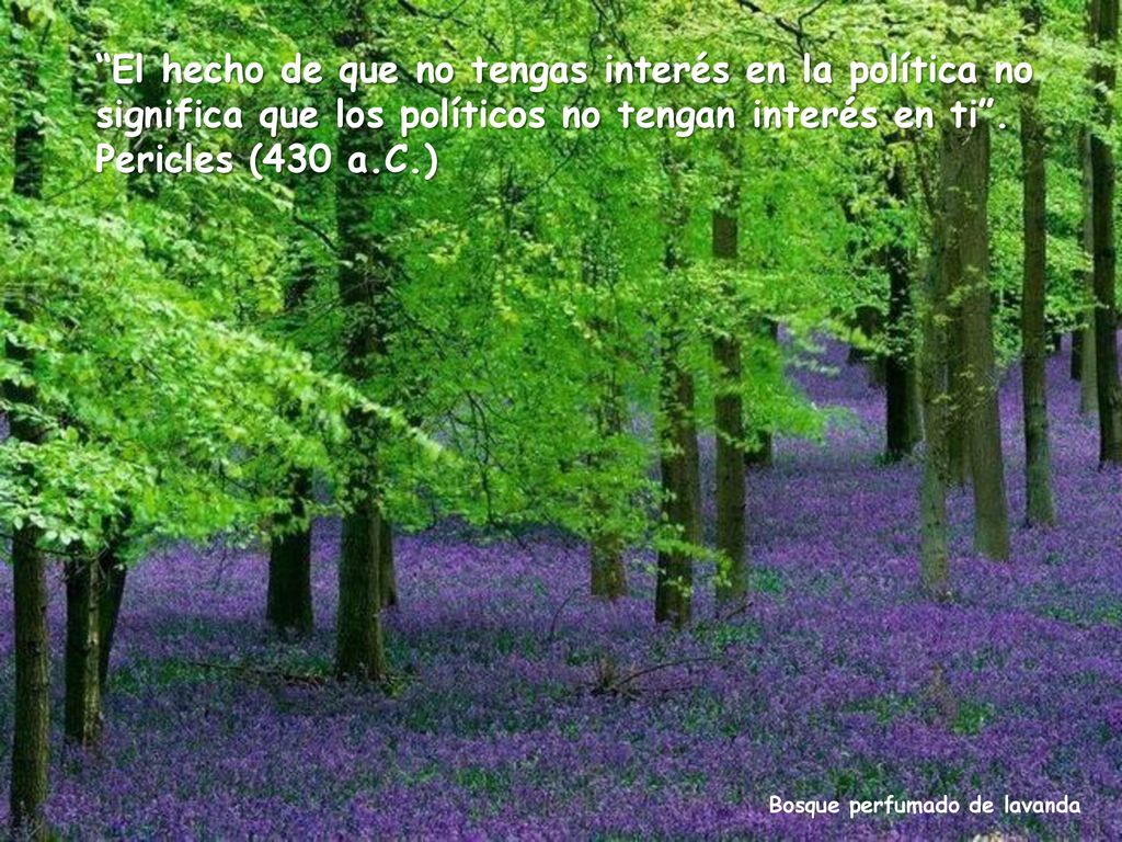 El hecho de que no tengas interés en la política no significa que los políticos no tengan interés en ti .