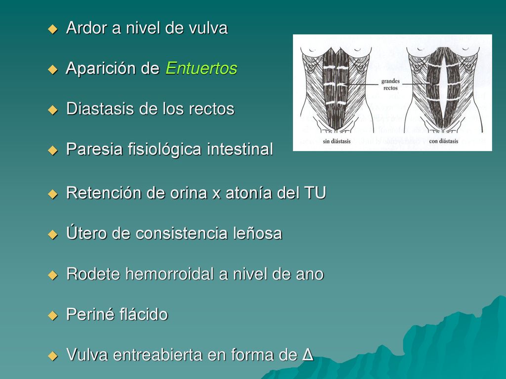 Ardor a nivel de vulva Aparición de Entuertos. Diastasis de los rectos. Paresia fisiológica intestinal.