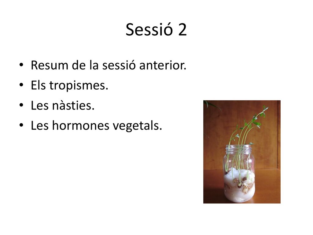 Sessió 2 Resum de la sessió anterior. Els tropismes. Les nàsties.