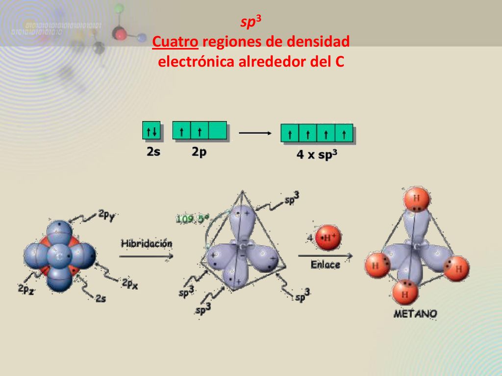 sp3 Cuatro regiones de densidad electrónica alrededor del C