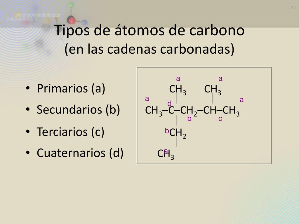 Tipos de átomos de carbono (en las cadenas carbonadas)