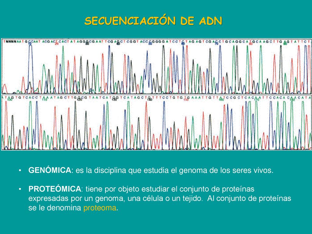 SECUENCIACIÓN DE ADN GENÓMICA: es la disciplina que estudia el genoma de los seres vivos.