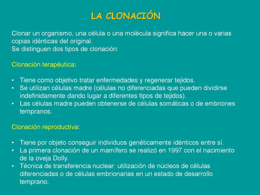 LA CLONACIÓN Clonar un organismo, una célula o una molécula significa hacer una o varias copias idénticas del original.