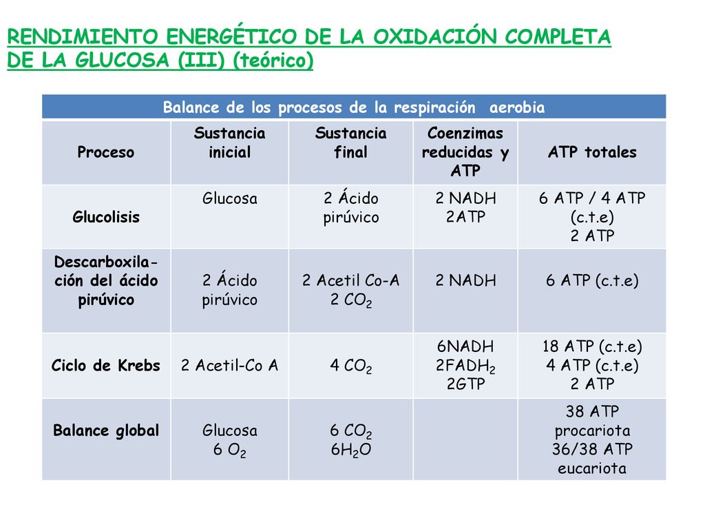 RENDIMIENTO ENERGÉTICO DE LA OXIDACIÓN COMPLETA DE LA GLUCOSA (III) (teórico)