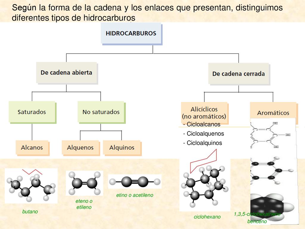 Según la forma de la cadena y los enlaces que presentan, distinguimos diferentes tipos de hidrocarburos
