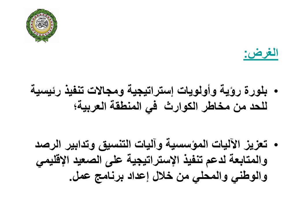 الغرض: بلورة رؤية وأولويات إستراتيجية ومجالات تنفيذ رئيسية للحد من مخاطر الكوارث في المنطقة العربية؛