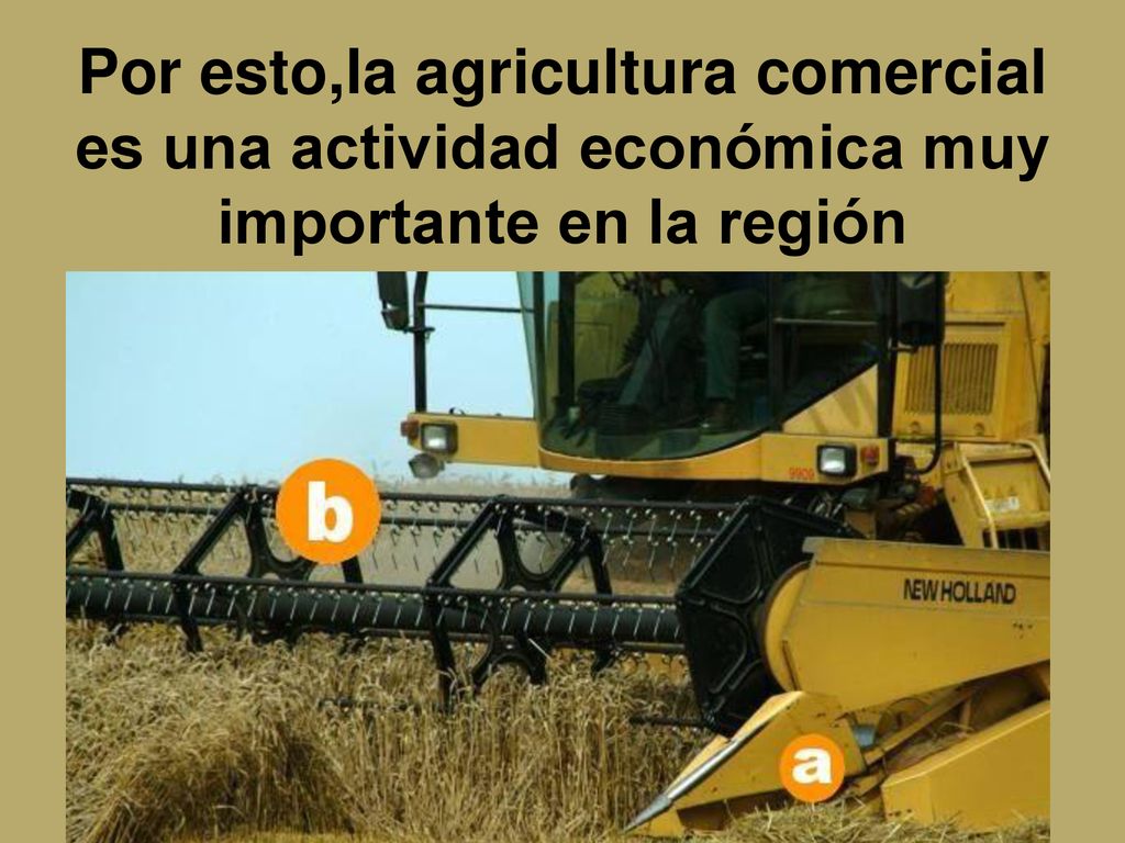 Por esto,la agricultura comercial es una actividad económica muy importante en la región